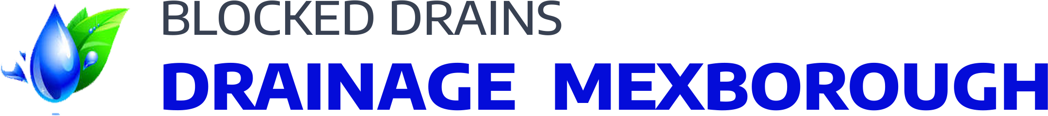website logo
